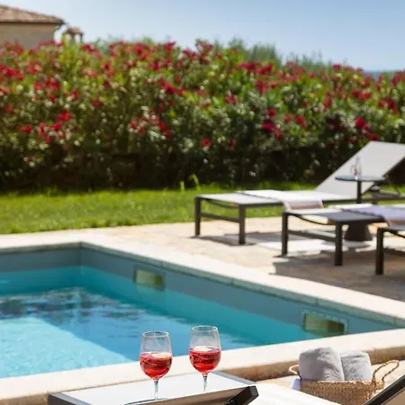 Villa Rustic Seseli With A Pool In Istria Sveti Lovrec Pazenaticki